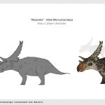 Project gallery image 3