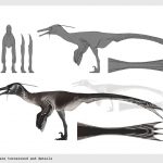 Project gallery image 4