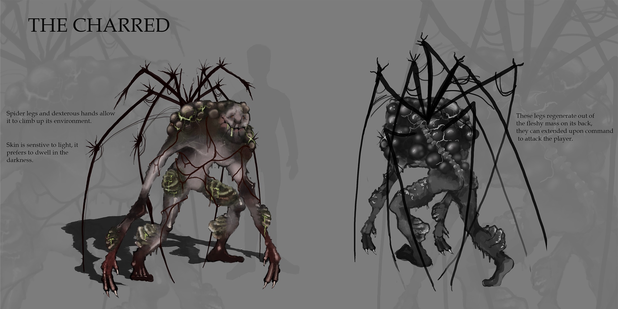 Project gallery image 1