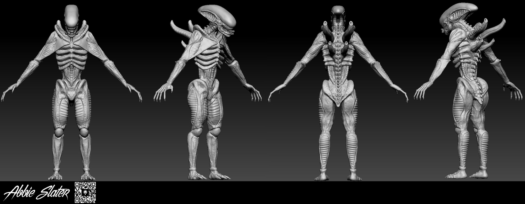 Project gallery image 3