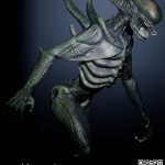 Project gallery image 2