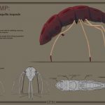 Project gallery image 3