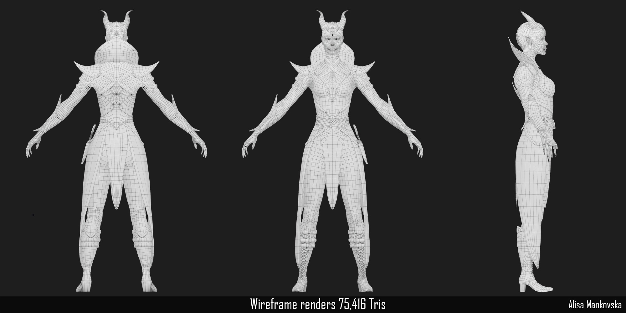 Project gallery image 4