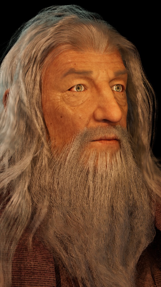 Project gallery image 2