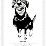 Project gallery image 2