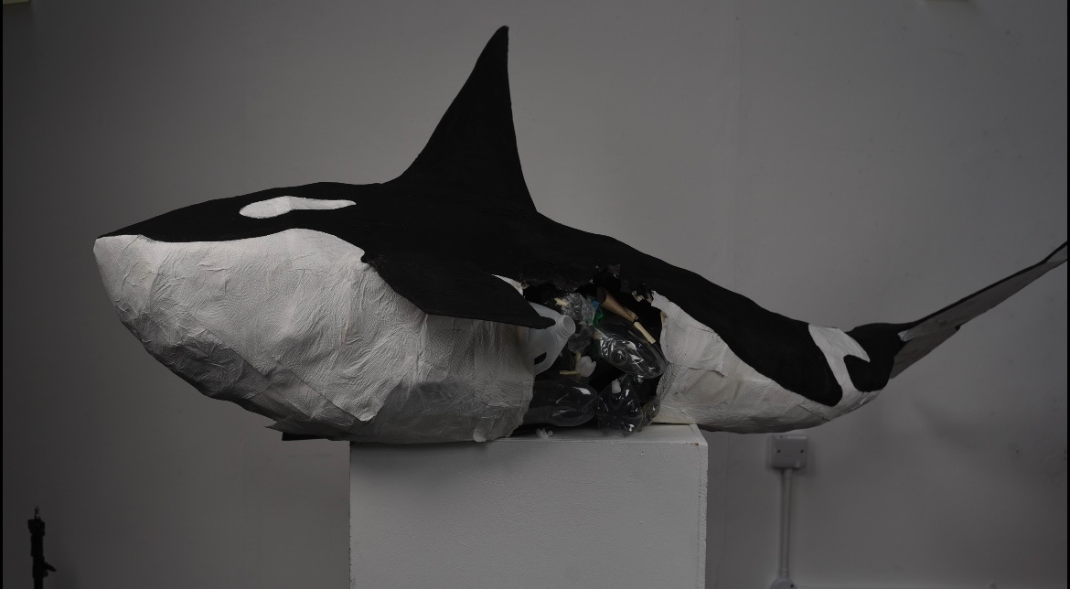 Project gallery image 1