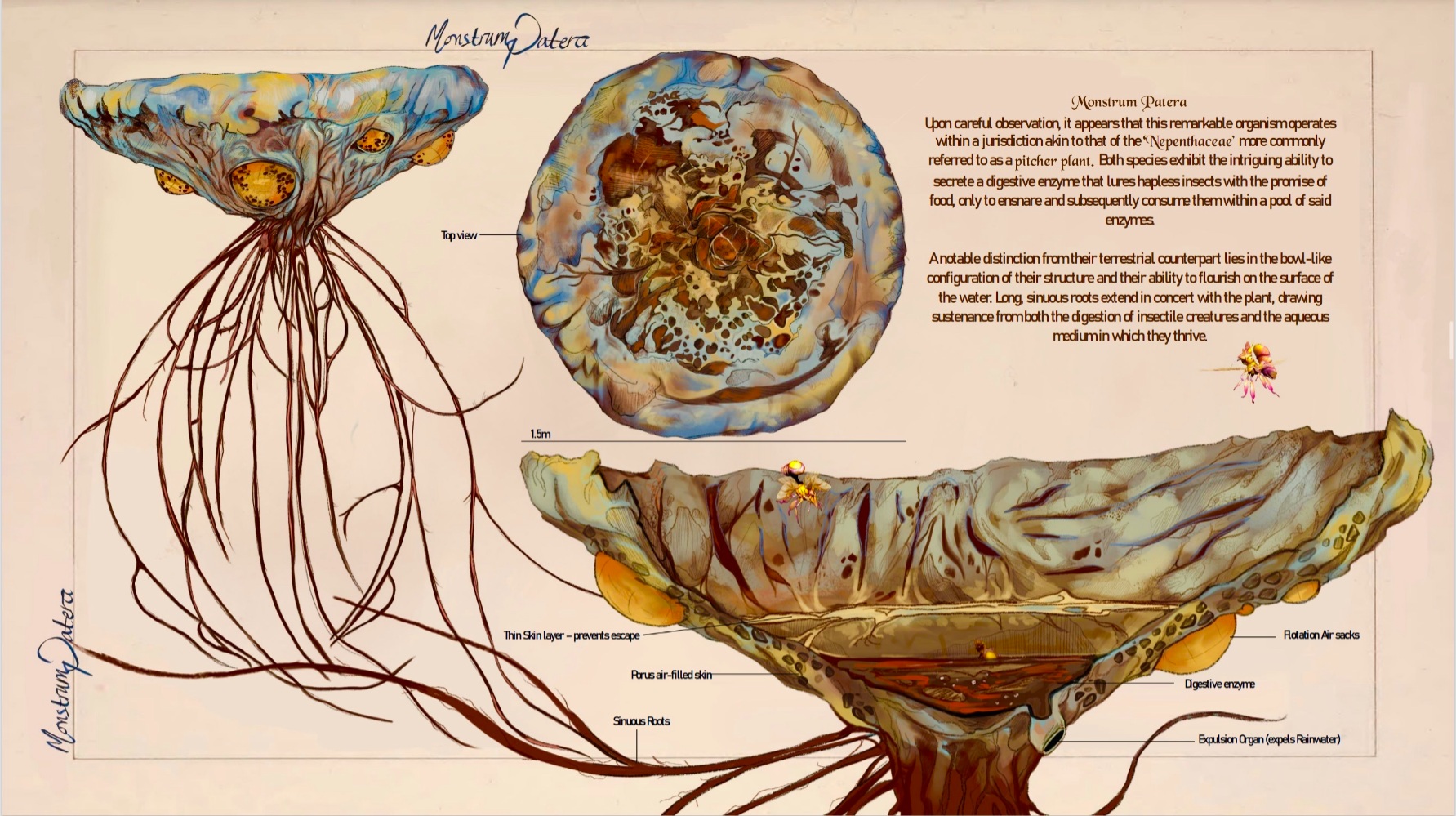 Project gallery image 3
