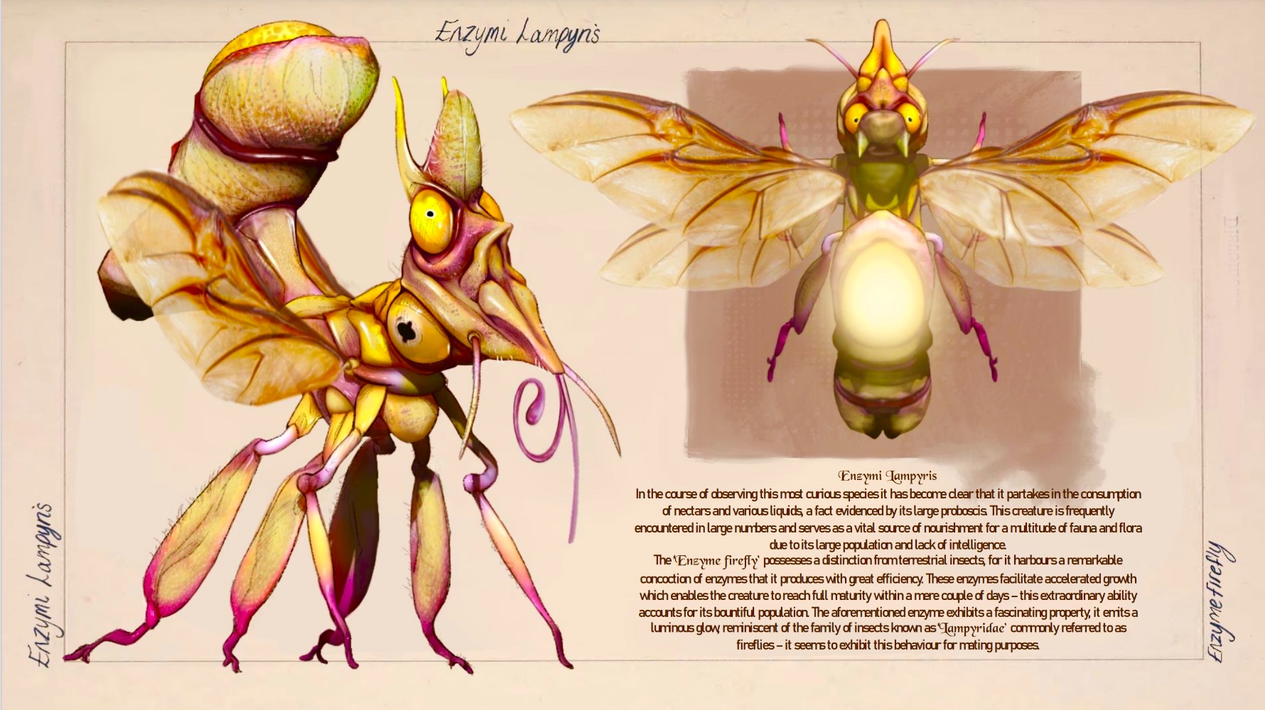 Project gallery image 4