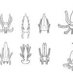 Project gallery image 2