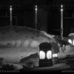 Project gallery image 3