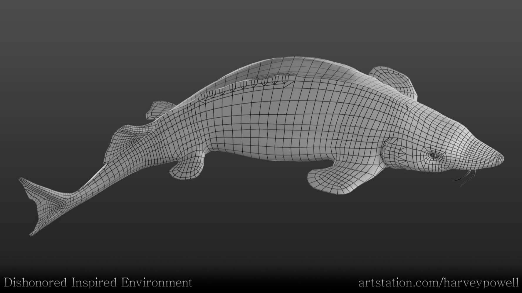 Project gallery image 4