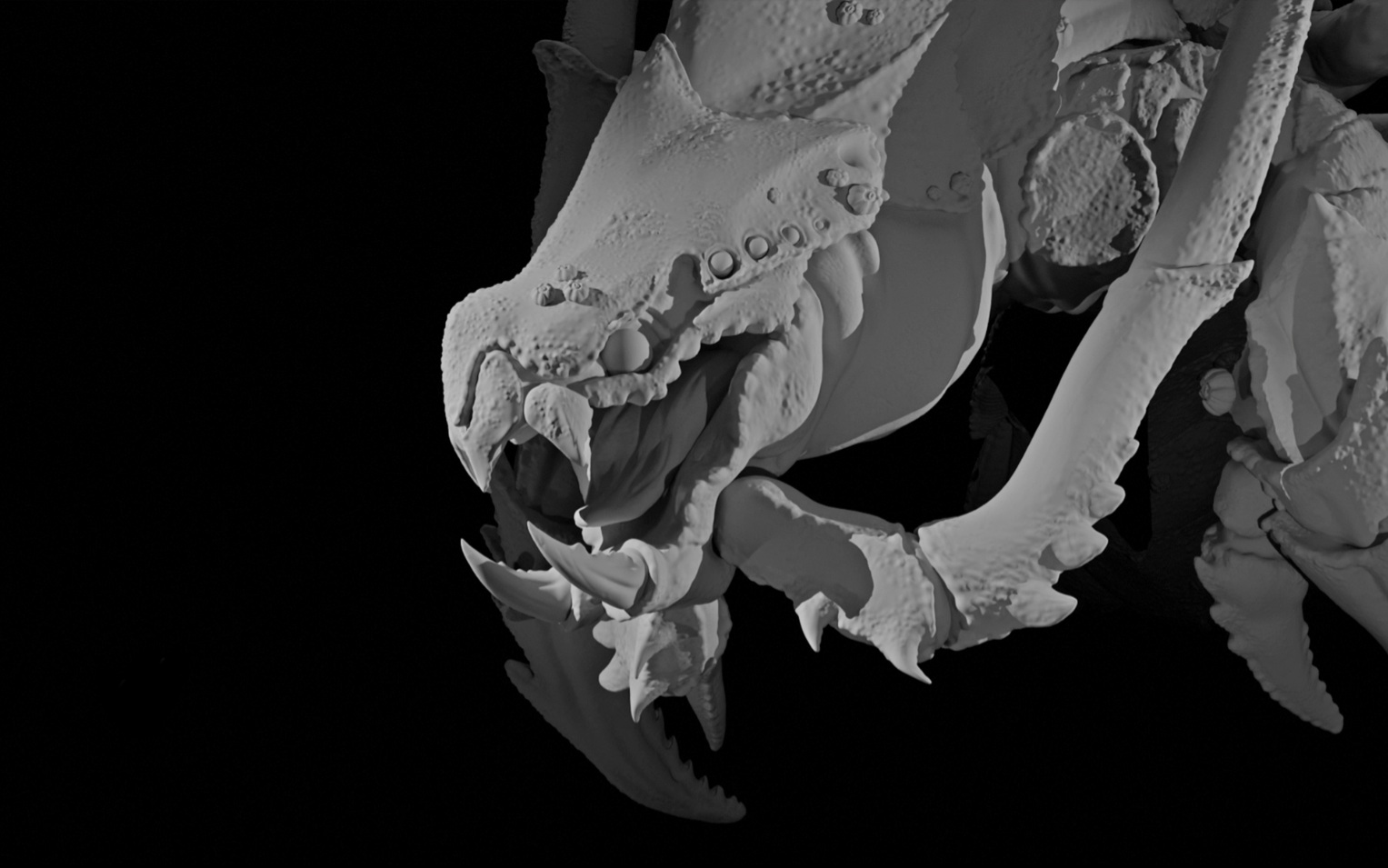 Project gallery image 4