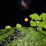 Project gallery image 4