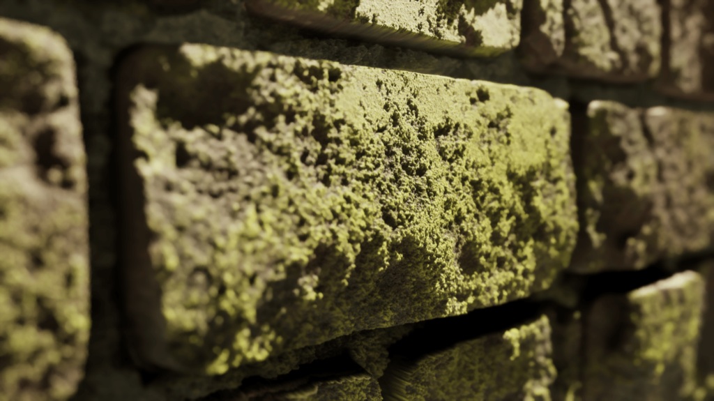 Project gallery image 2
