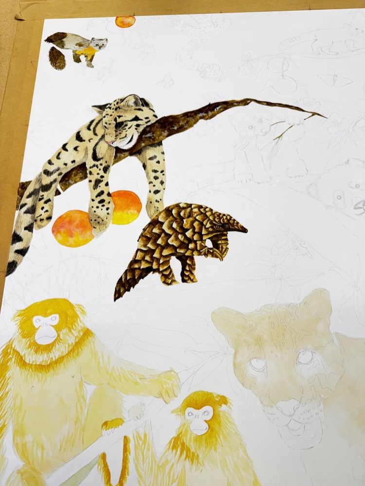 Project gallery image 3
