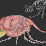 Project gallery image 4