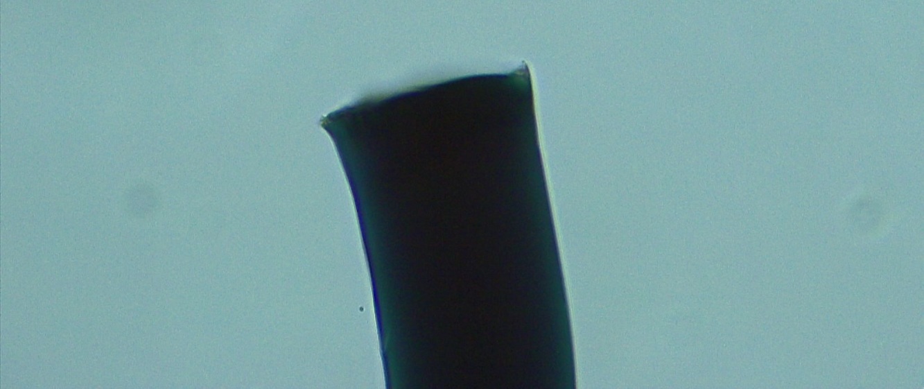 Project gallery image 3