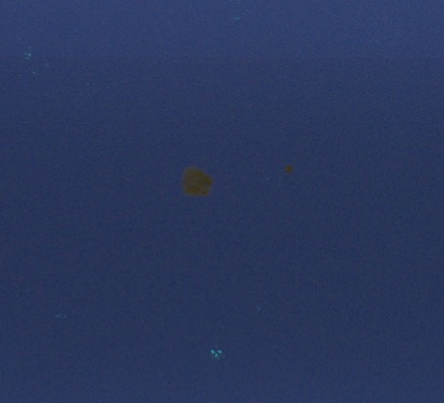 Project gallery image 1