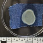 Project gallery image 1