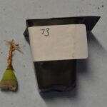 Project gallery image 2