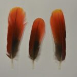 Project gallery image 1
