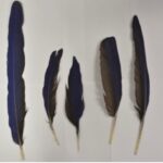 Project gallery image 2
