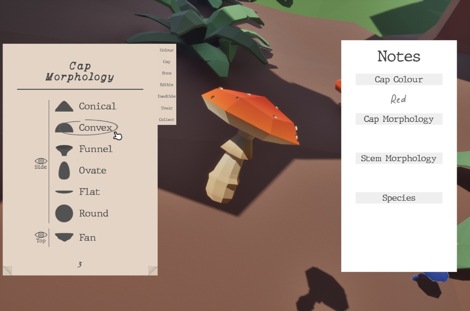 Project gallery image 3