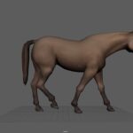 Project gallery image 1