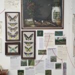 Project gallery image 2
