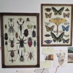 Project gallery image 1