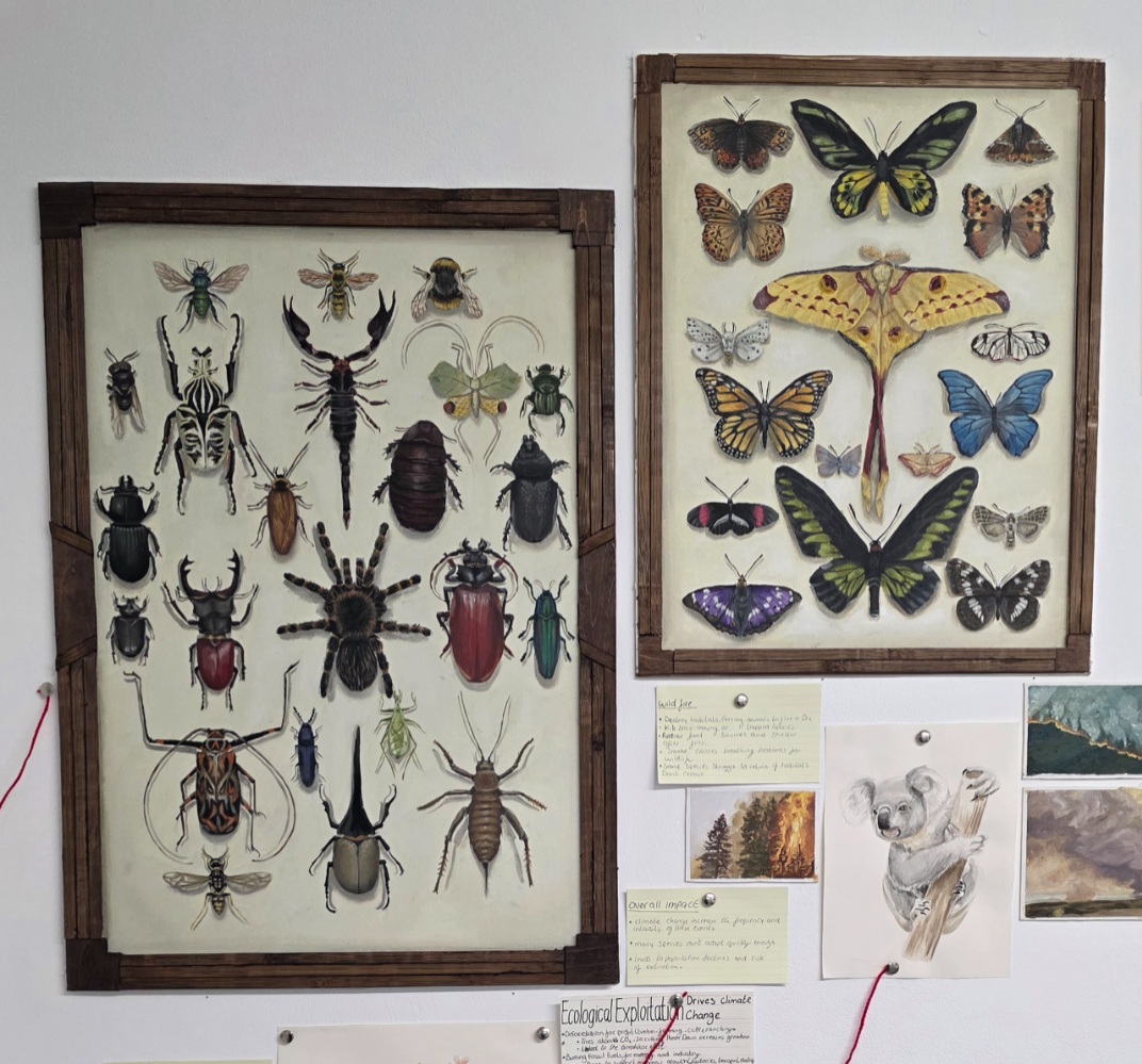 Project gallery image 1