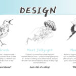 Project gallery image 1