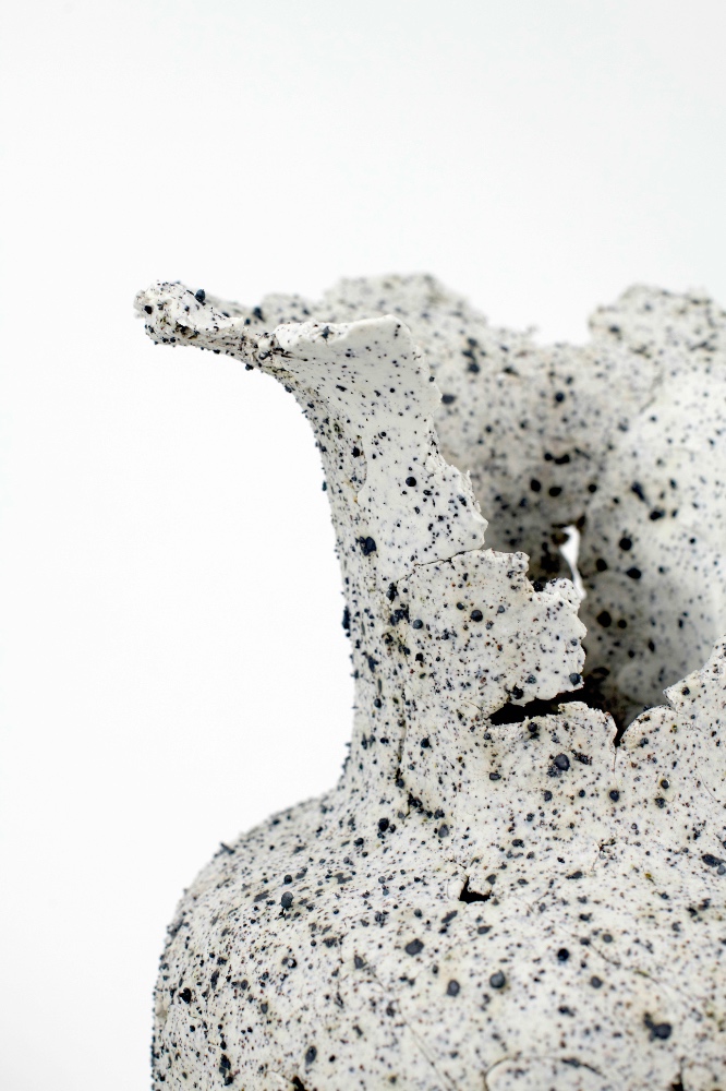 Project gallery image 1
